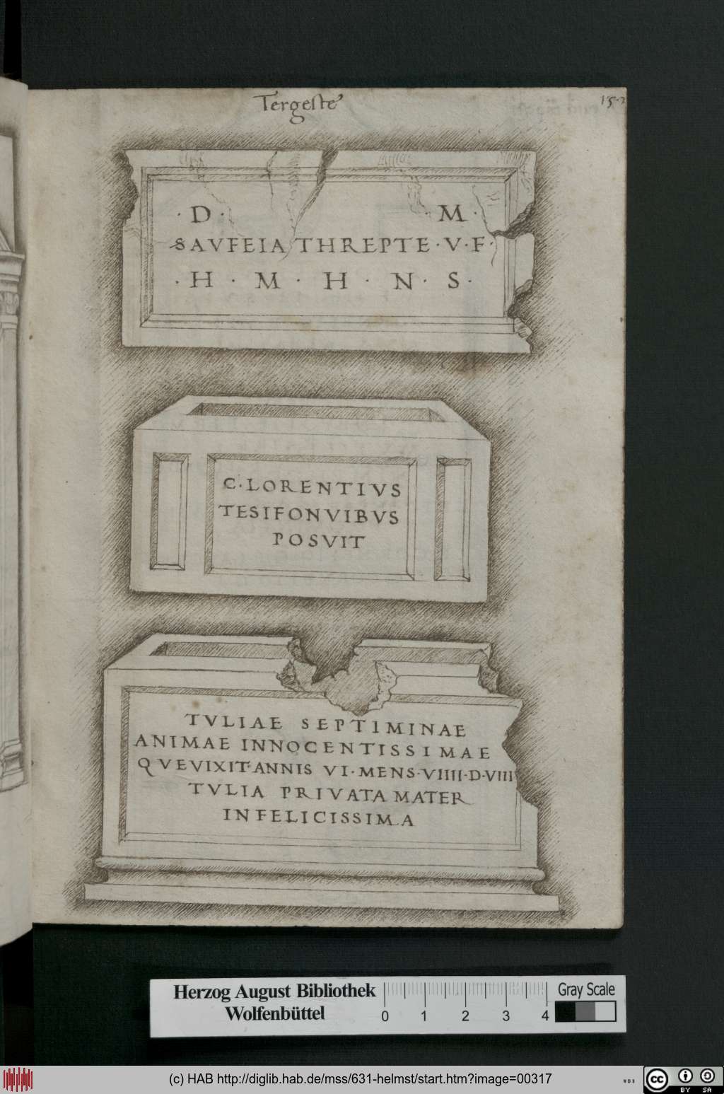 http://diglib.hab.de/mss/631-helmst/00317.jpg