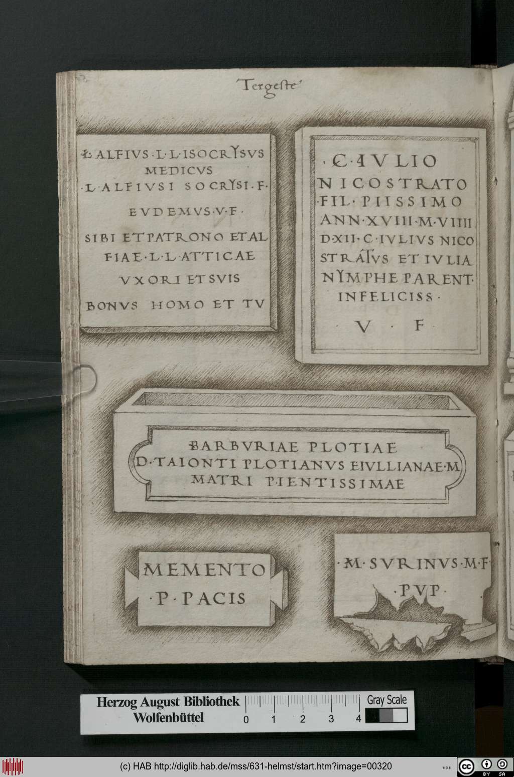 http://diglib.hab.de/mss/631-helmst/00320.jpg