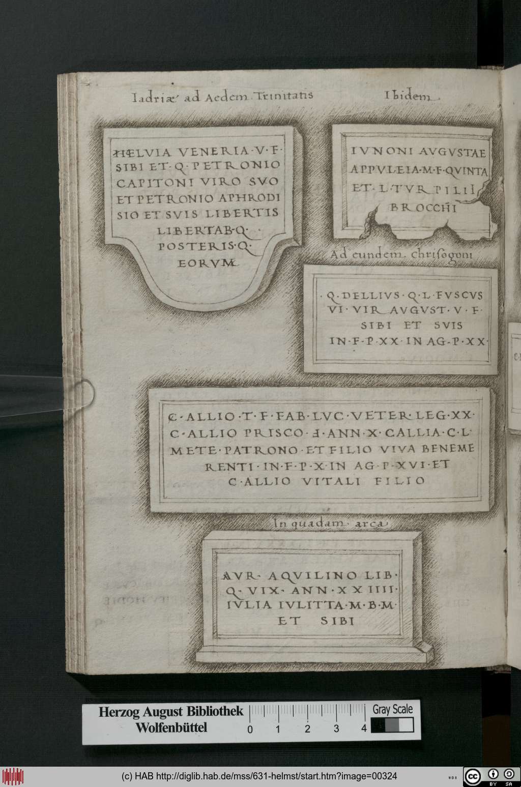http://diglib.hab.de/mss/631-helmst/00324.jpg