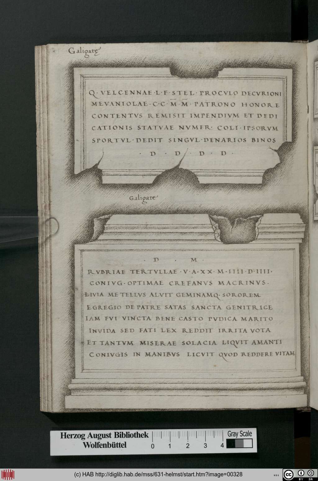 http://diglib.hab.de/mss/631-helmst/00328.jpg