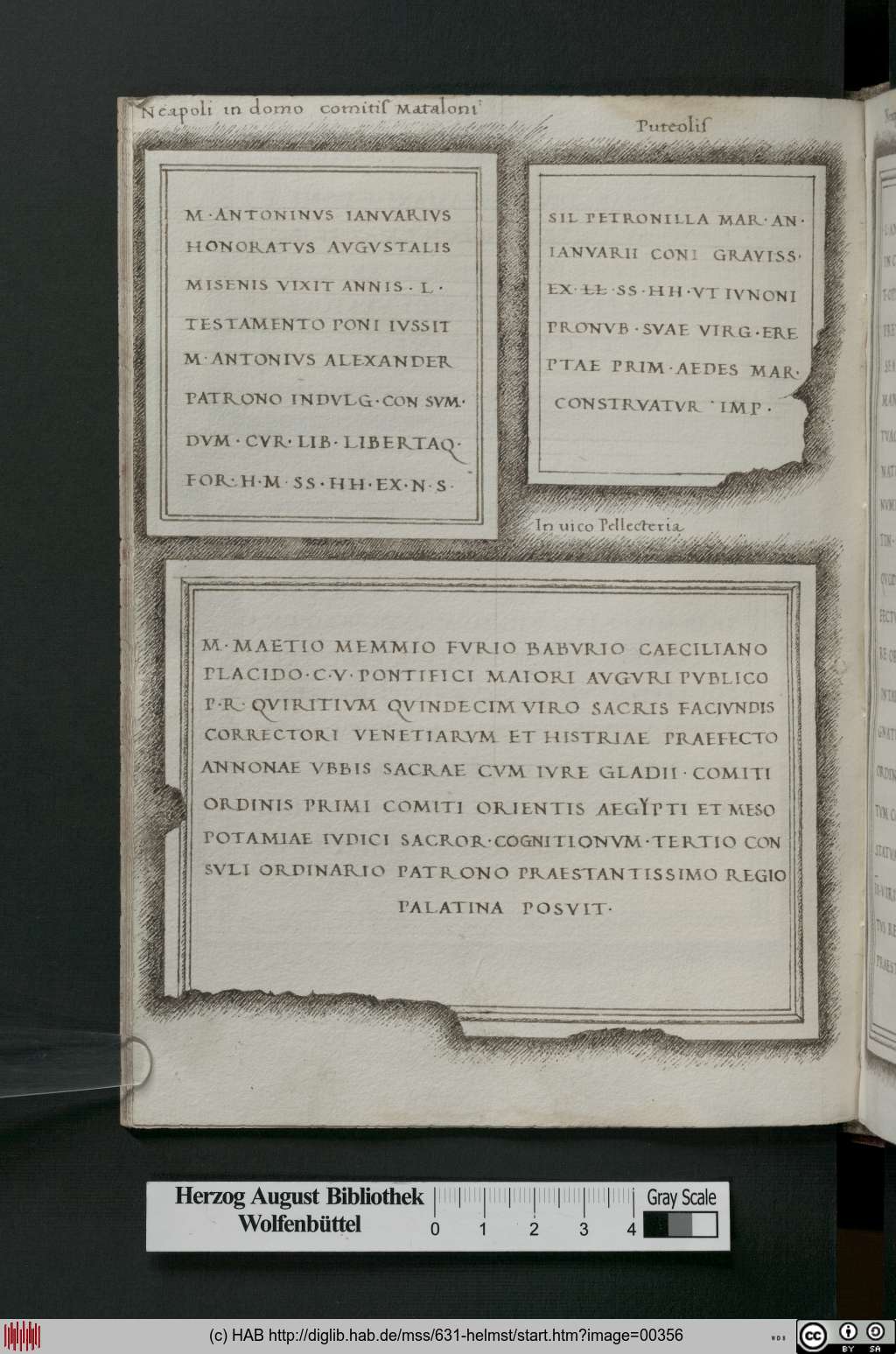 http://diglib.hab.de/mss/631-helmst/00356.jpg