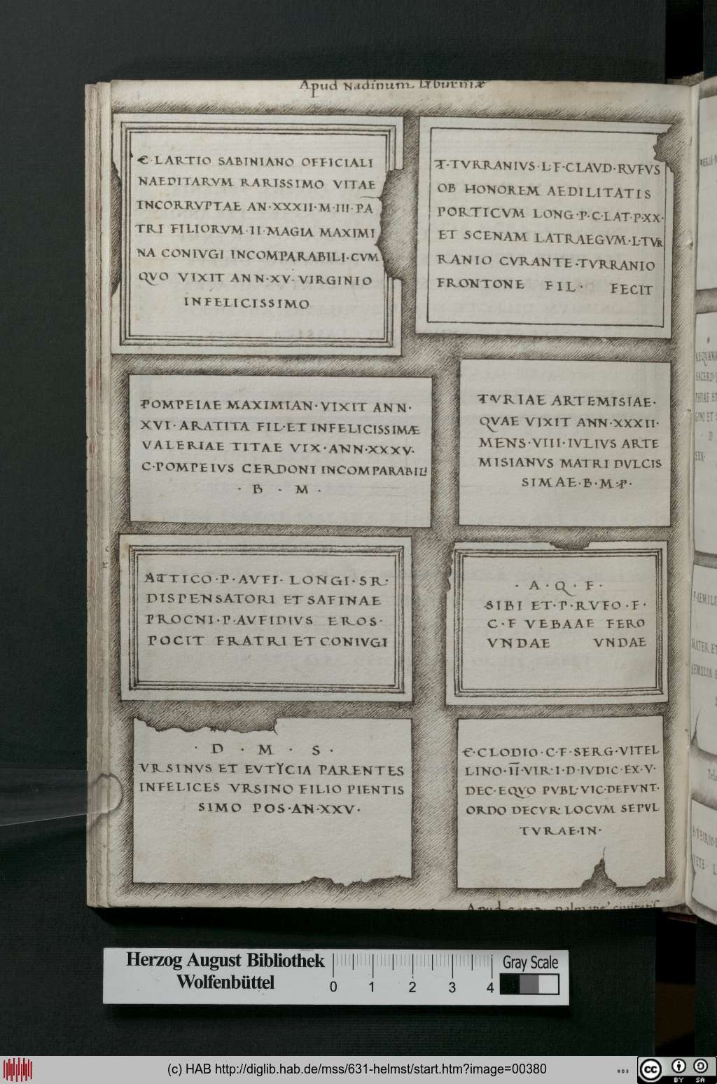 http://diglib.hab.de/mss/631-helmst/00380.jpg