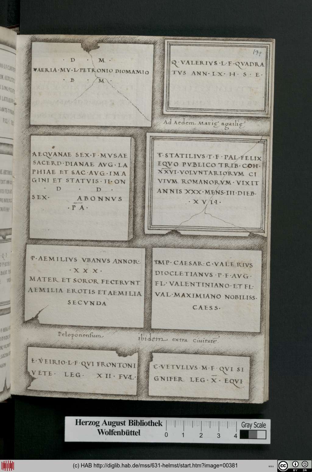 http://diglib.hab.de/mss/631-helmst/00381.jpg