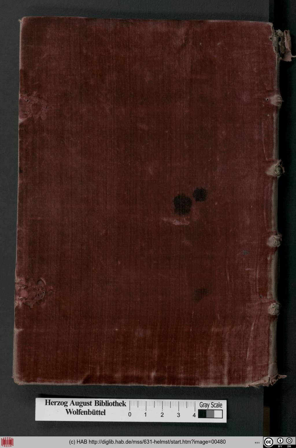 http://diglib.hab.de/mss/631-helmst/00480.jpg