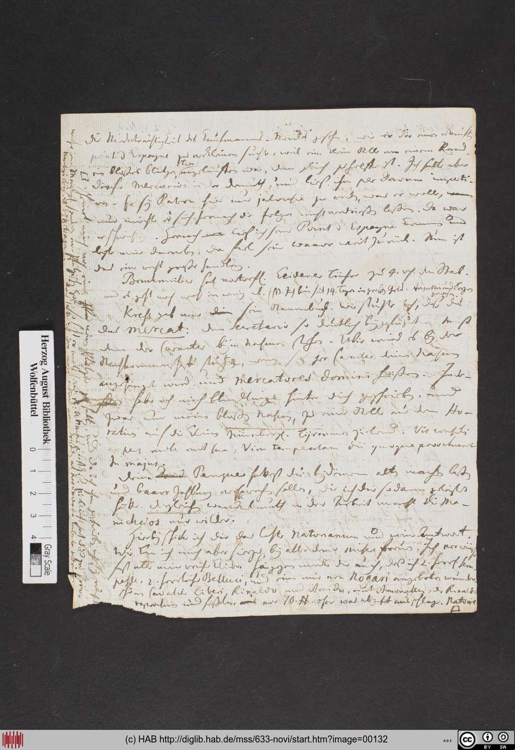 http://diglib.hab.de/mss/633-novi/00132.jpg