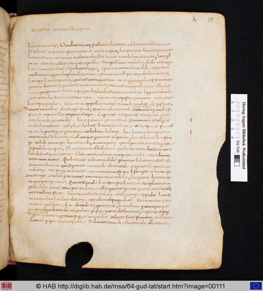 http://diglib.hab.de/mss/64-gud-lat/00111.jpg