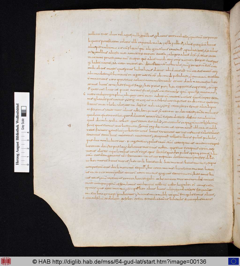 http://diglib.hab.de/mss/64-gud-lat/00136.jpg