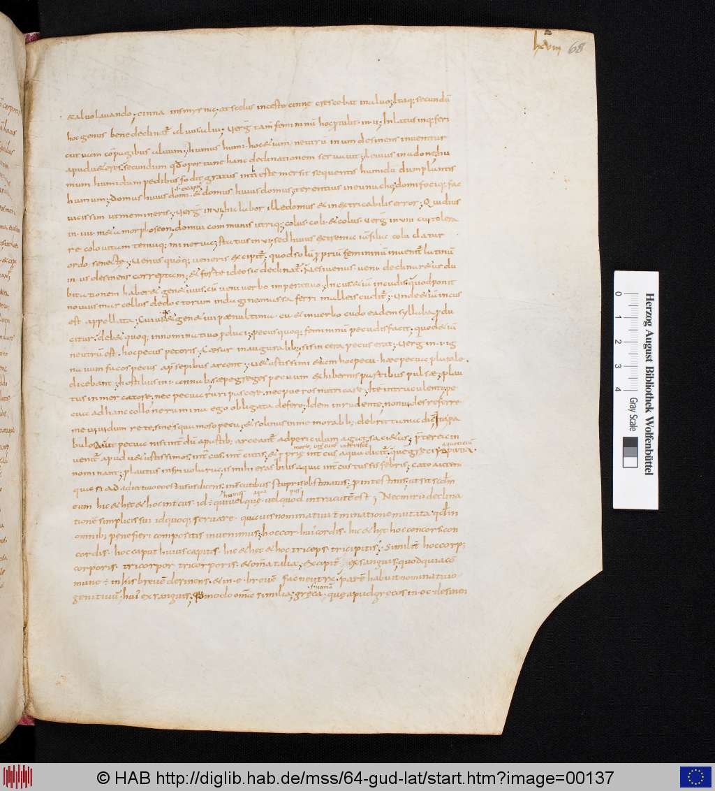 http://diglib.hab.de/mss/64-gud-lat/00137.jpg