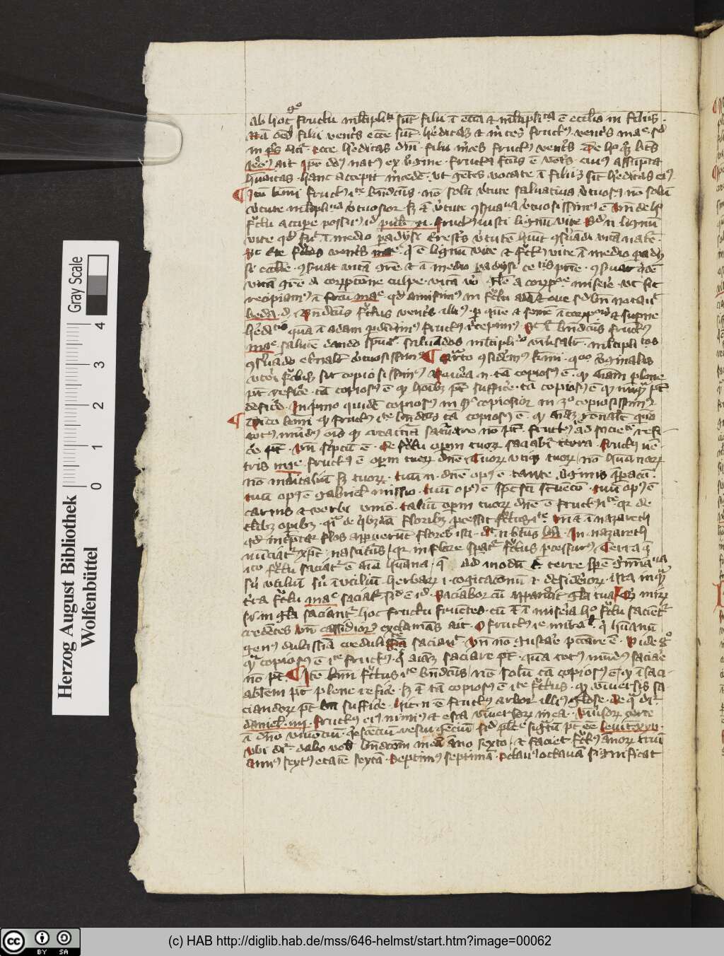 http://diglib.hab.de/mss/646-helmst/00062.jpg