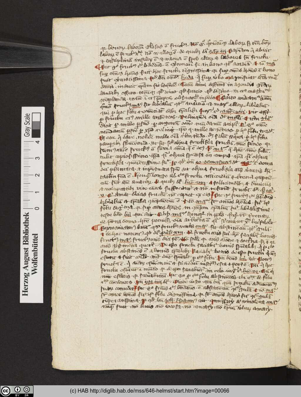 http://diglib.hab.de/mss/646-helmst/00066.jpg