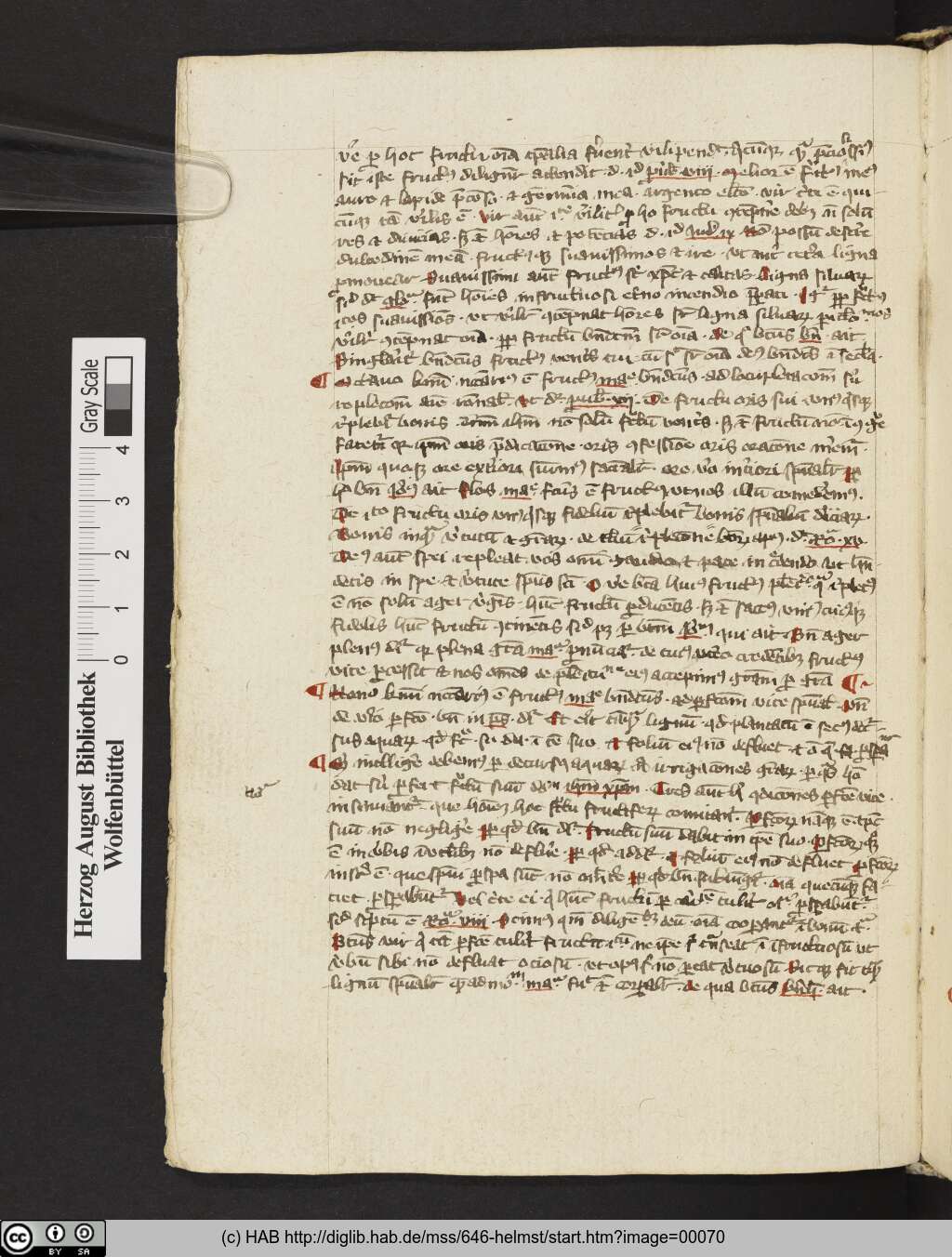 http://diglib.hab.de/mss/646-helmst/00070.jpg