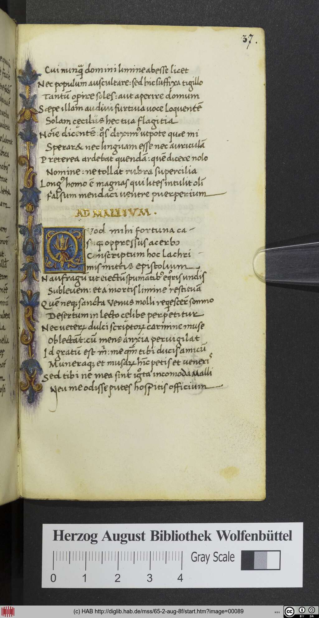 http://diglib.hab.de/mss/65-2-aug-8f/00089.jpg