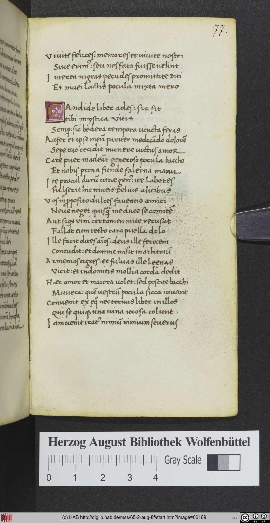 http://diglib.hab.de/mss/65-2-aug-8f/00169.jpg