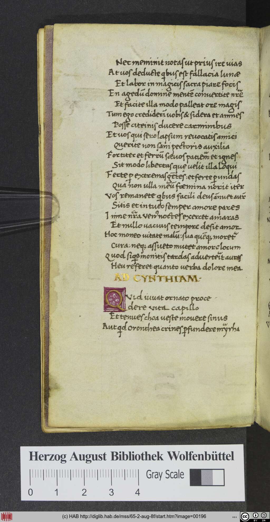 http://diglib.hab.de/mss/65-2-aug-8f/00196.jpg