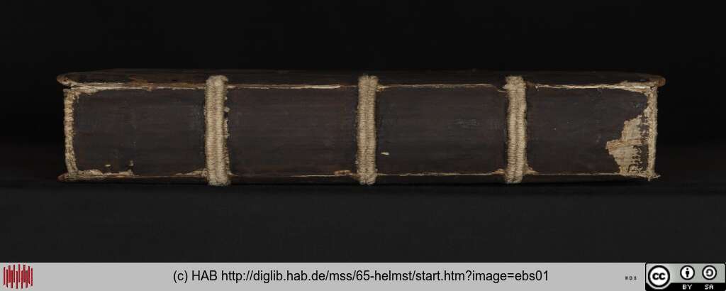 http://diglib.hab.de/mss/65-helmst/ebs01.jpg