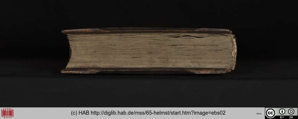 http://diglib.hab.de/mss/65-helmst/ebs02.jpg