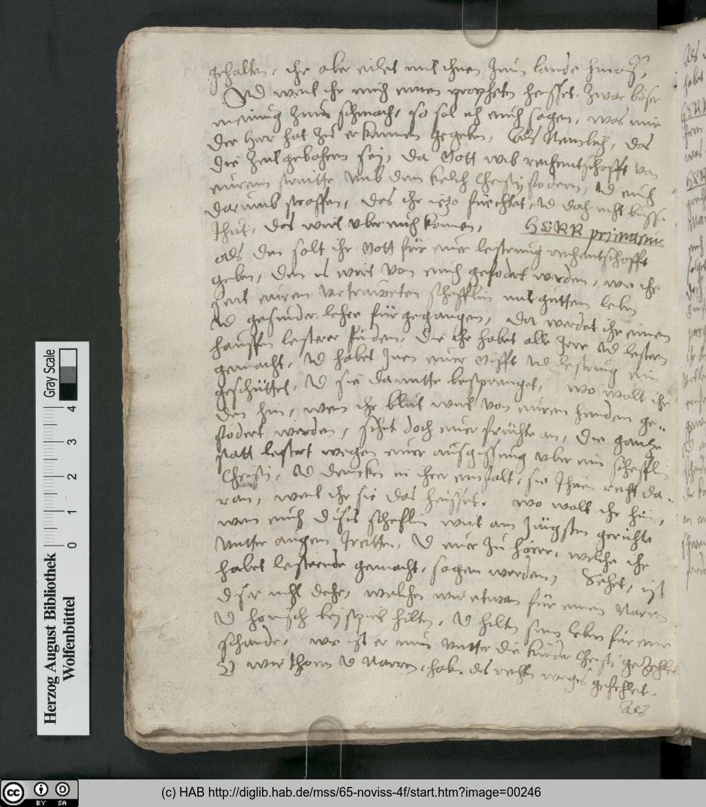 http://diglib.hab.de/mss/65-noviss-4f/00246.jpg