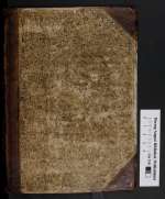 Cod. Guelf. 656 Helmst. — Halitgarius Cameracensis. Paulinus Aquileiensis. Isidorus Hispalensis. Hrabanus Maurus — Mainz — 9. Jh., Mitte