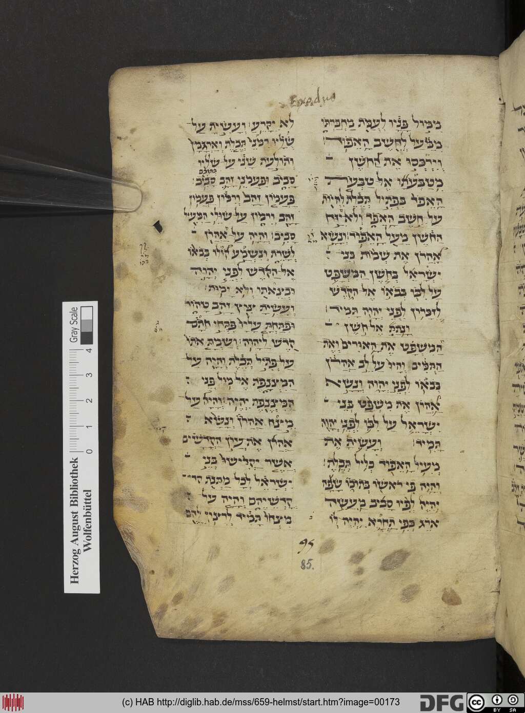 http://diglib.hab.de/mss/659-helmst/00173.jpg
