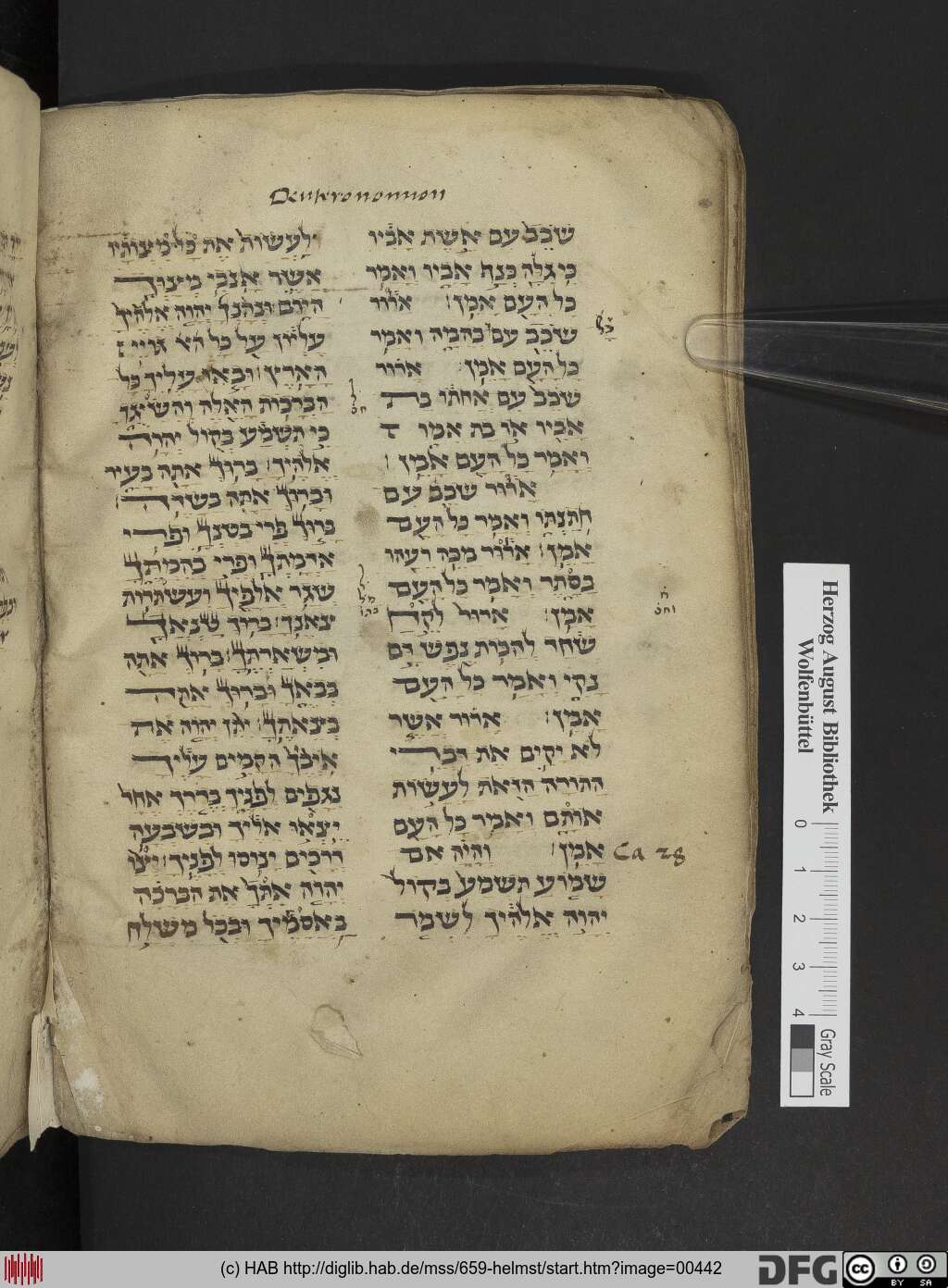 http://diglib.hab.de/mss/659-helmst/00442.jpg