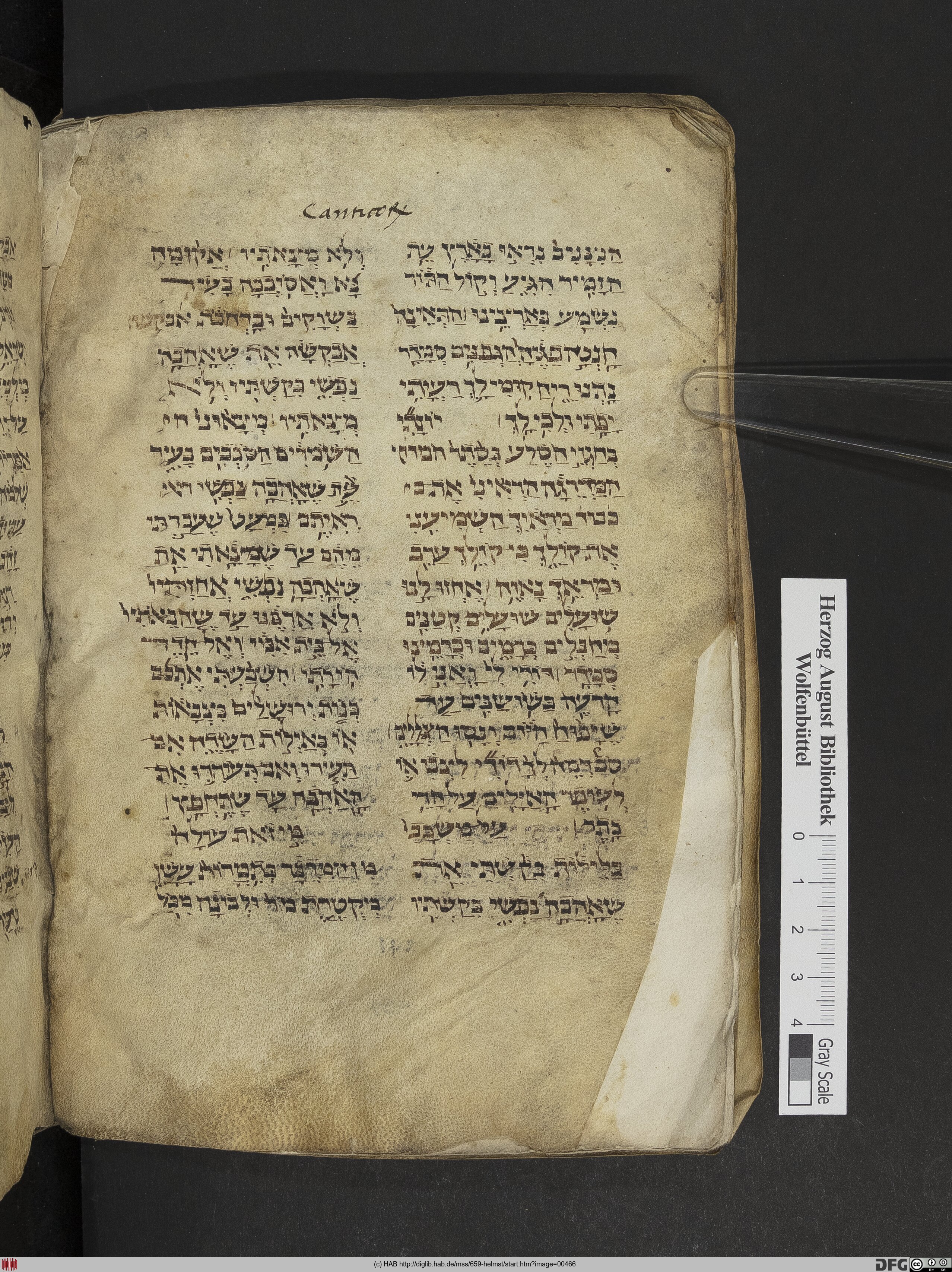 http://diglib.hab.de/mss/659-helmst/max/00466.jpg