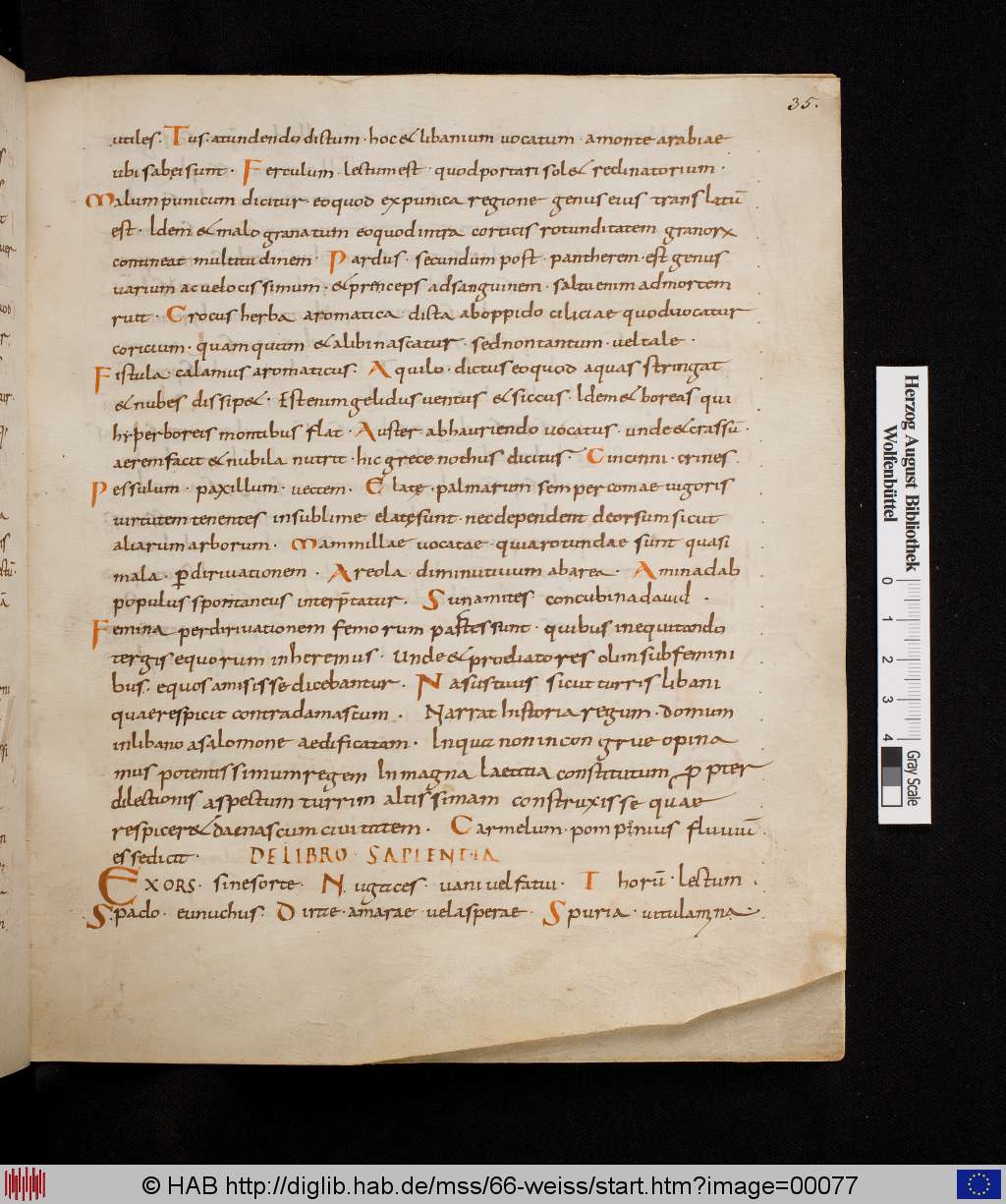 http://diglib.hab.de/mss/66-weiss/00077.jpg