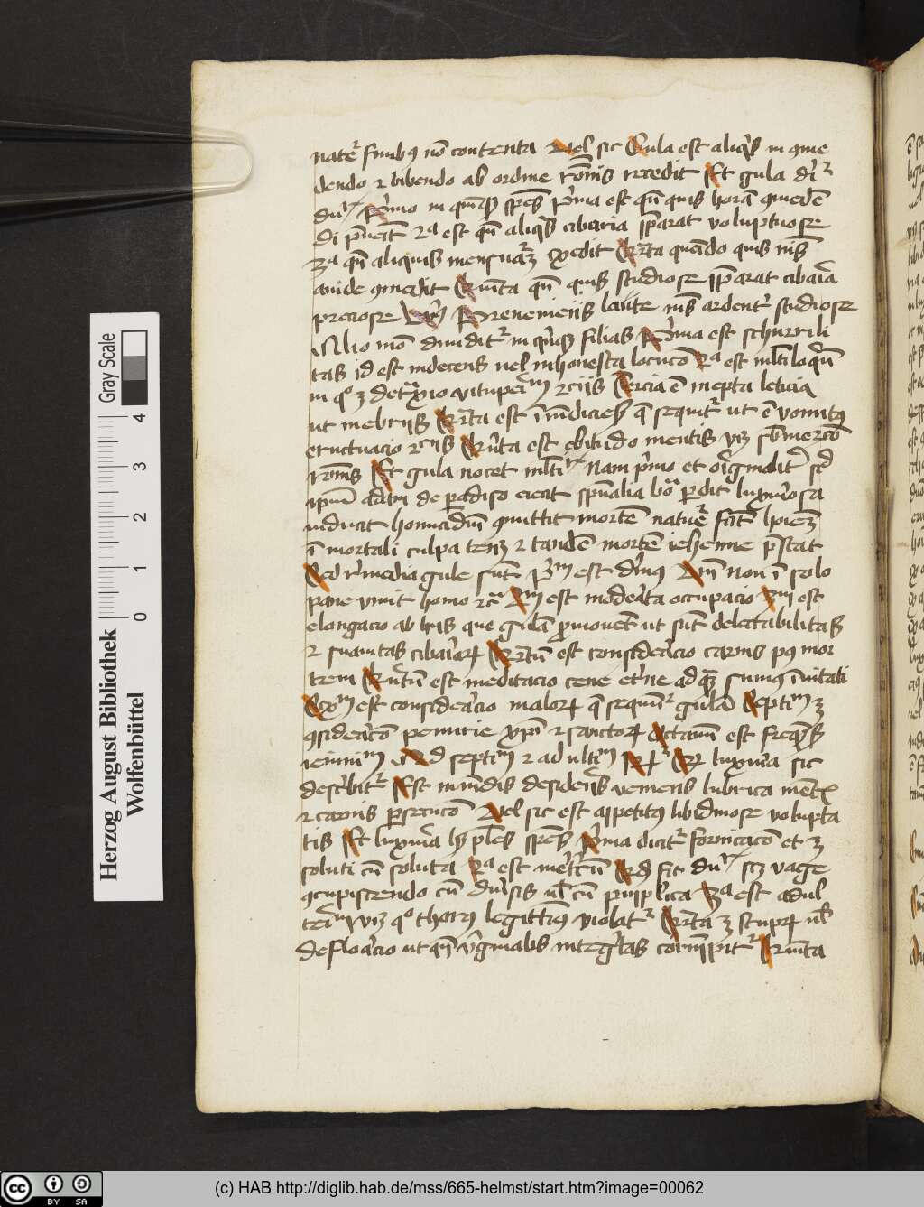 http://diglib.hab.de/mss/665-helmst/00062.jpg