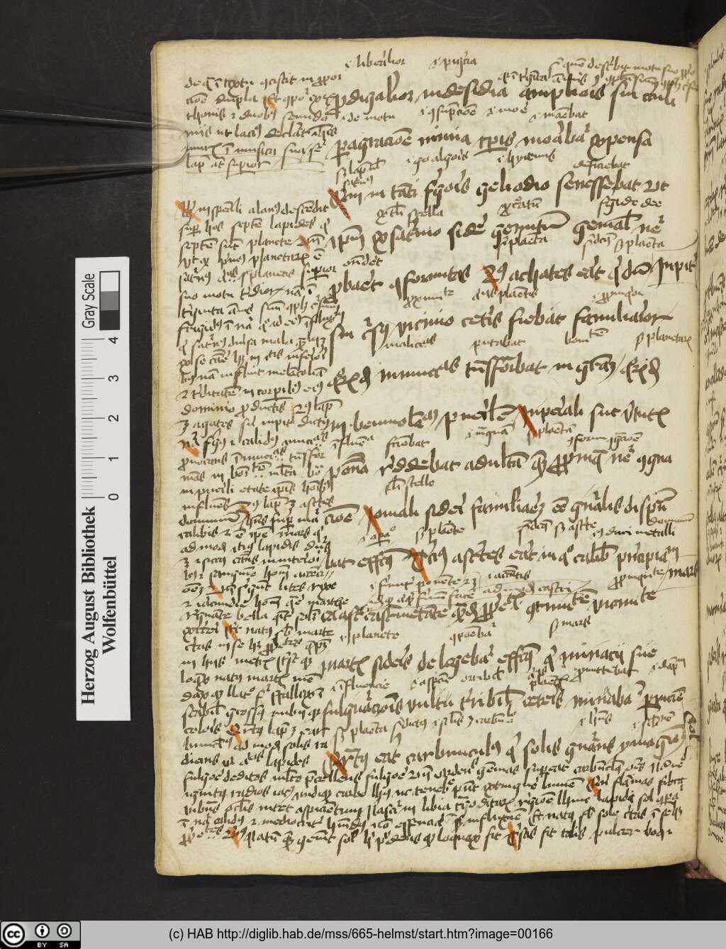 http://diglib.hab.de/mss/665-helmst/00166.jpg