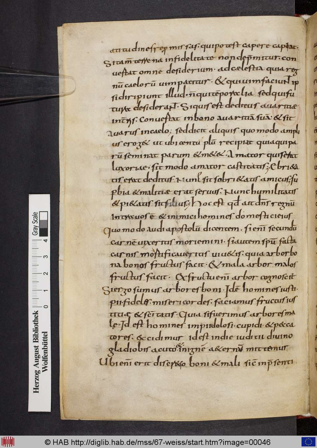 http://diglib.hab.de/mss/67-weiss/00046.jpg