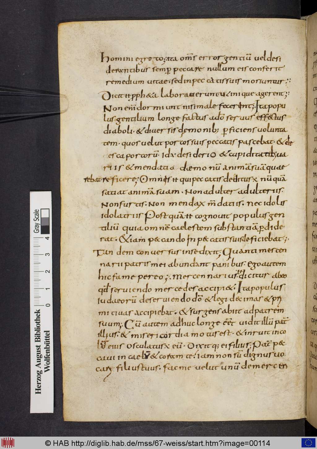 http://diglib.hab.de/mss/67-weiss/00114.jpg