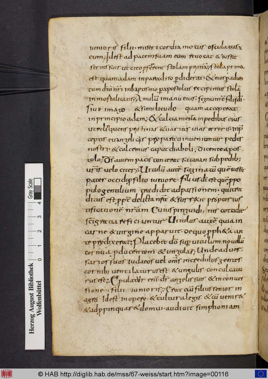 http://diglib.hab.de/mss/67-weiss/00116.jpg