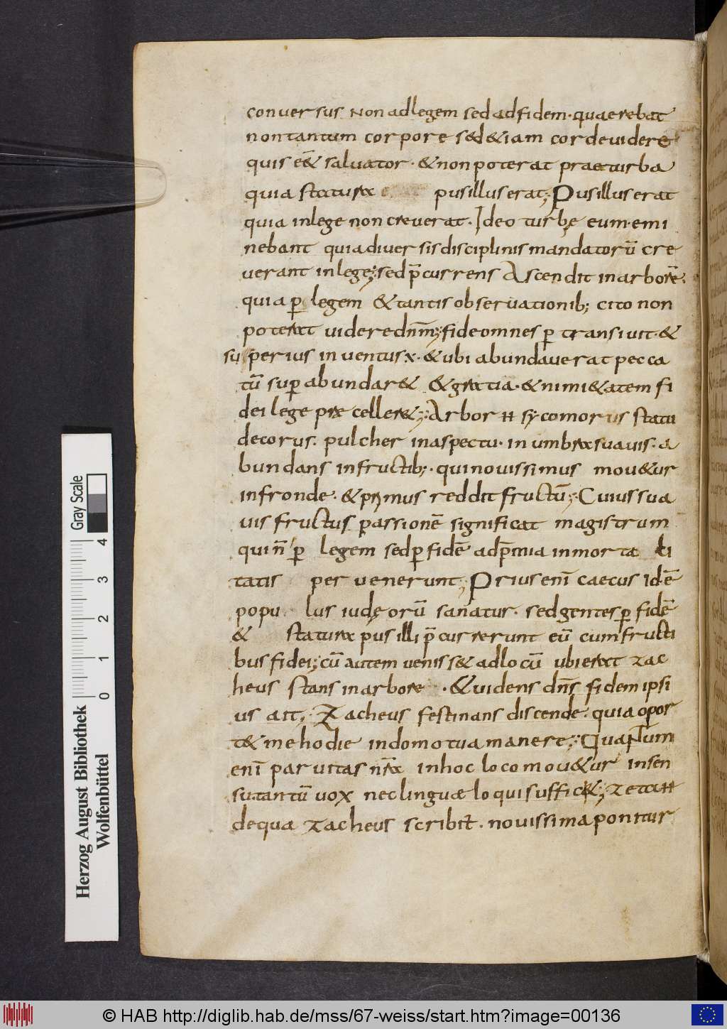 http://diglib.hab.de/mss/67-weiss/00136.jpg