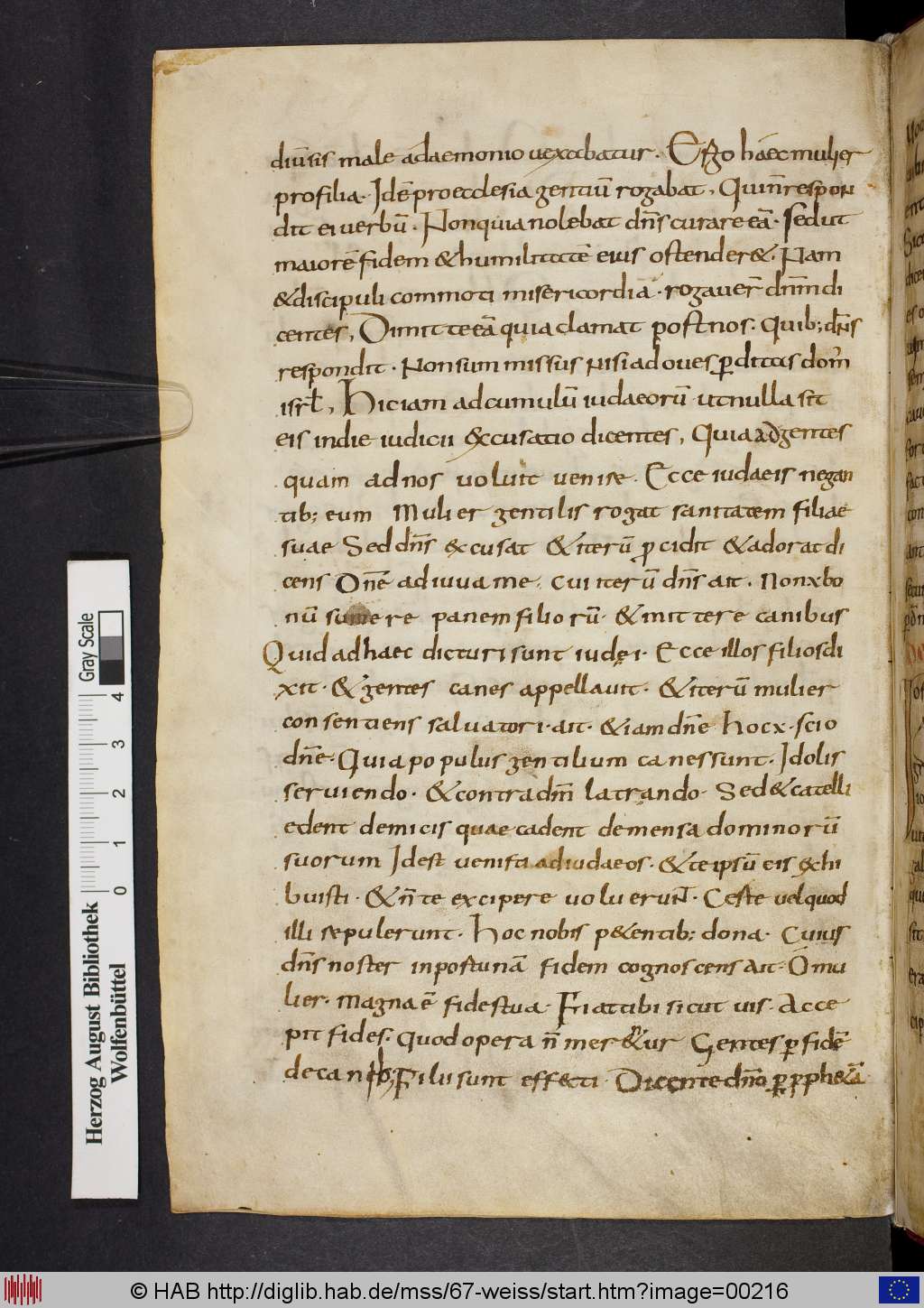 http://diglib.hab.de/mss/67-weiss/00216.jpg