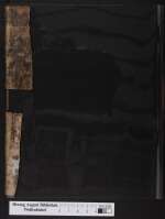 Cod. Guelf. 672.8 Helmst.