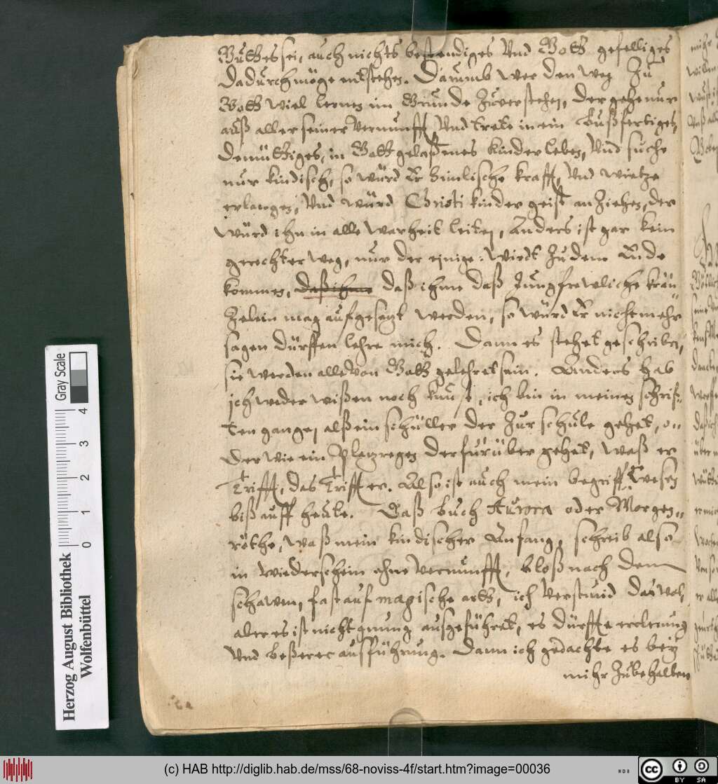 http://diglib.hab.de/mss/68-noviss-4f/00036.jpg