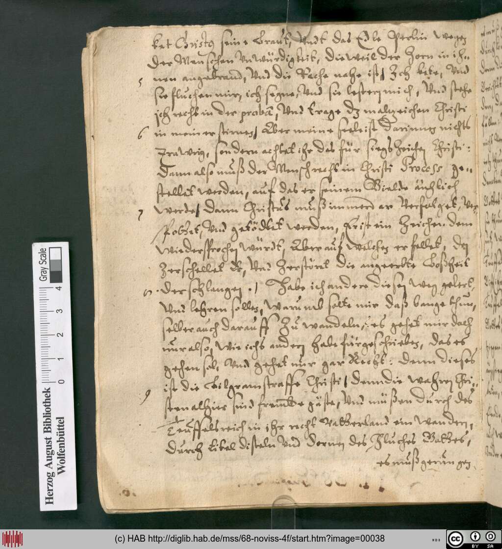http://diglib.hab.de/mss/68-noviss-4f/00038.jpg
