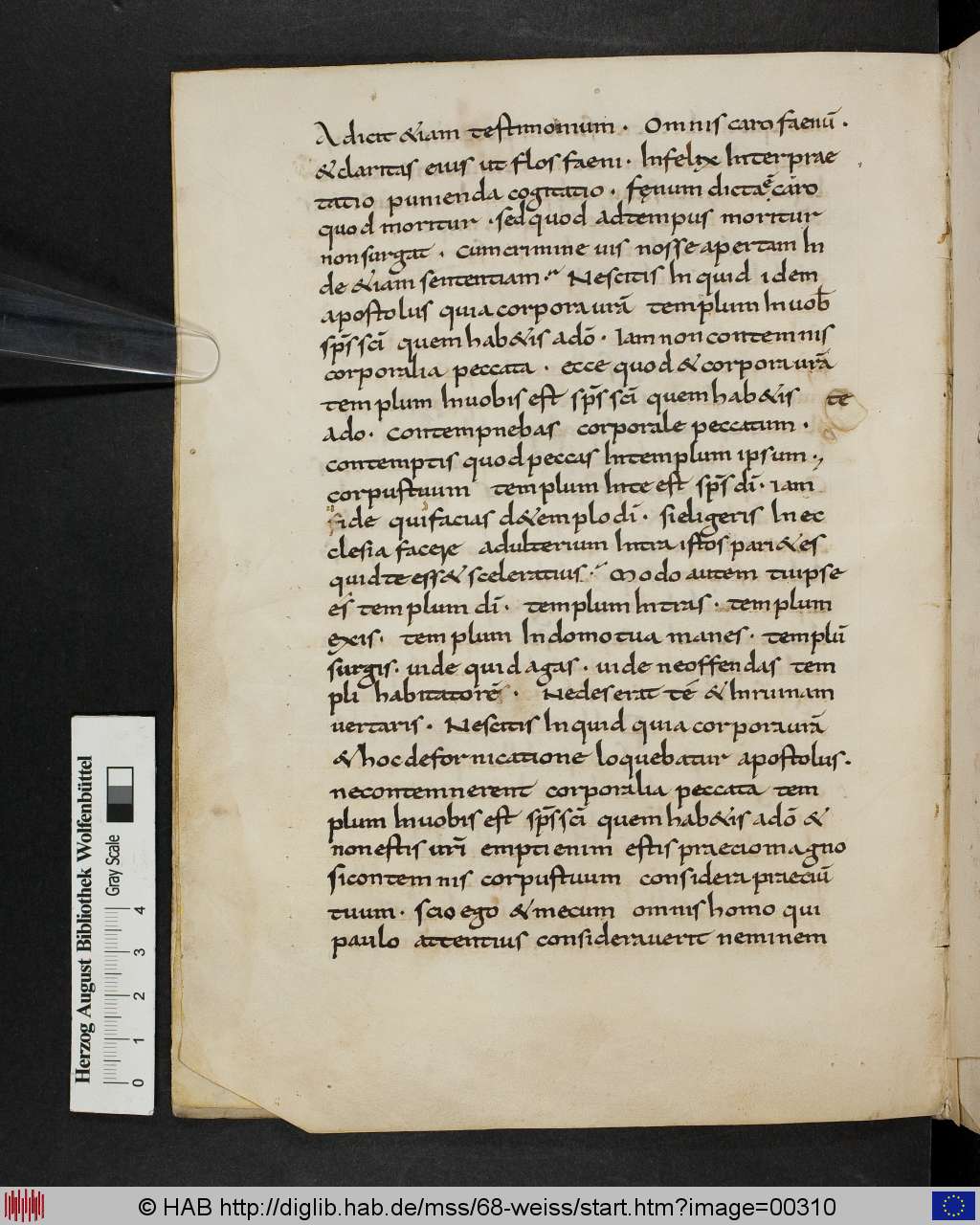 http://diglib.hab.de/mss/68-weiss/00310.jpg