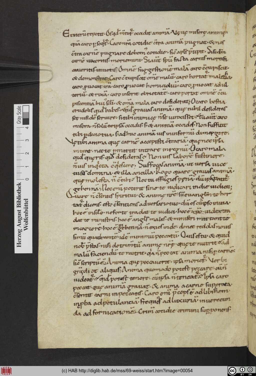 http://diglib.hab.de/mss/69-weiss/00054.jpg