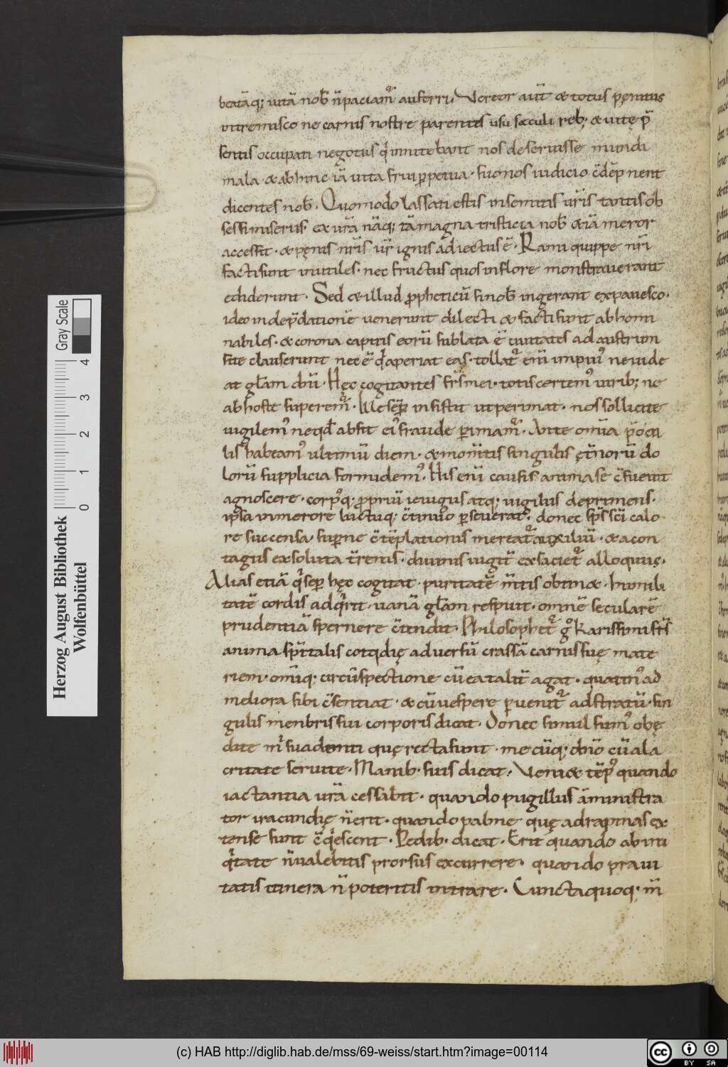 http://diglib.hab.de/mss/69-weiss/00114.jpg
