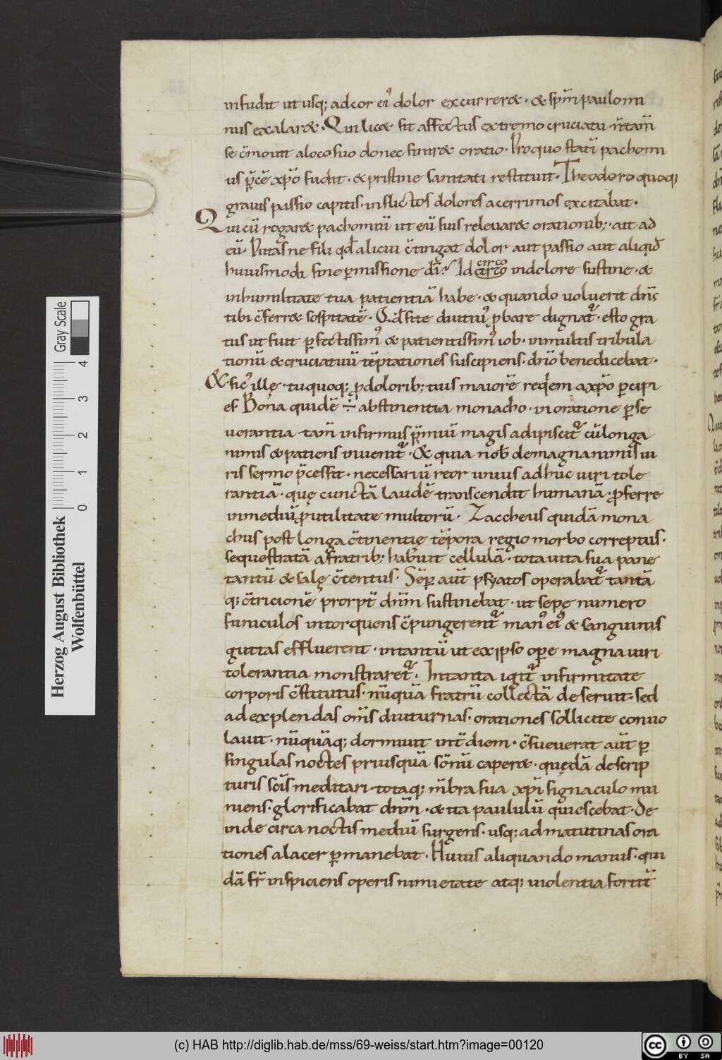 http://diglib.hab.de/mss/69-weiss/00120.jpg