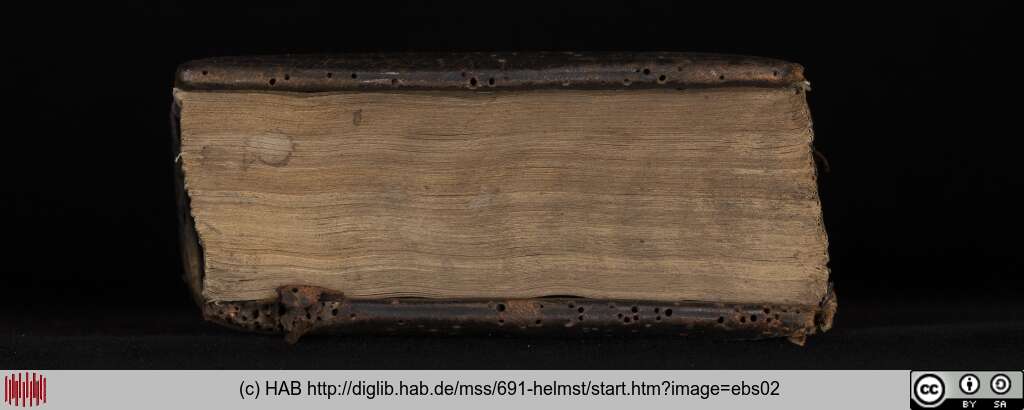 http://diglib.hab.de/mss/691-helmst/ebs02.jpg