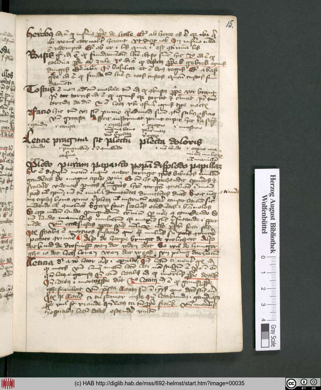 http://diglib.hab.de/mss/692-helmst/00035.jpg