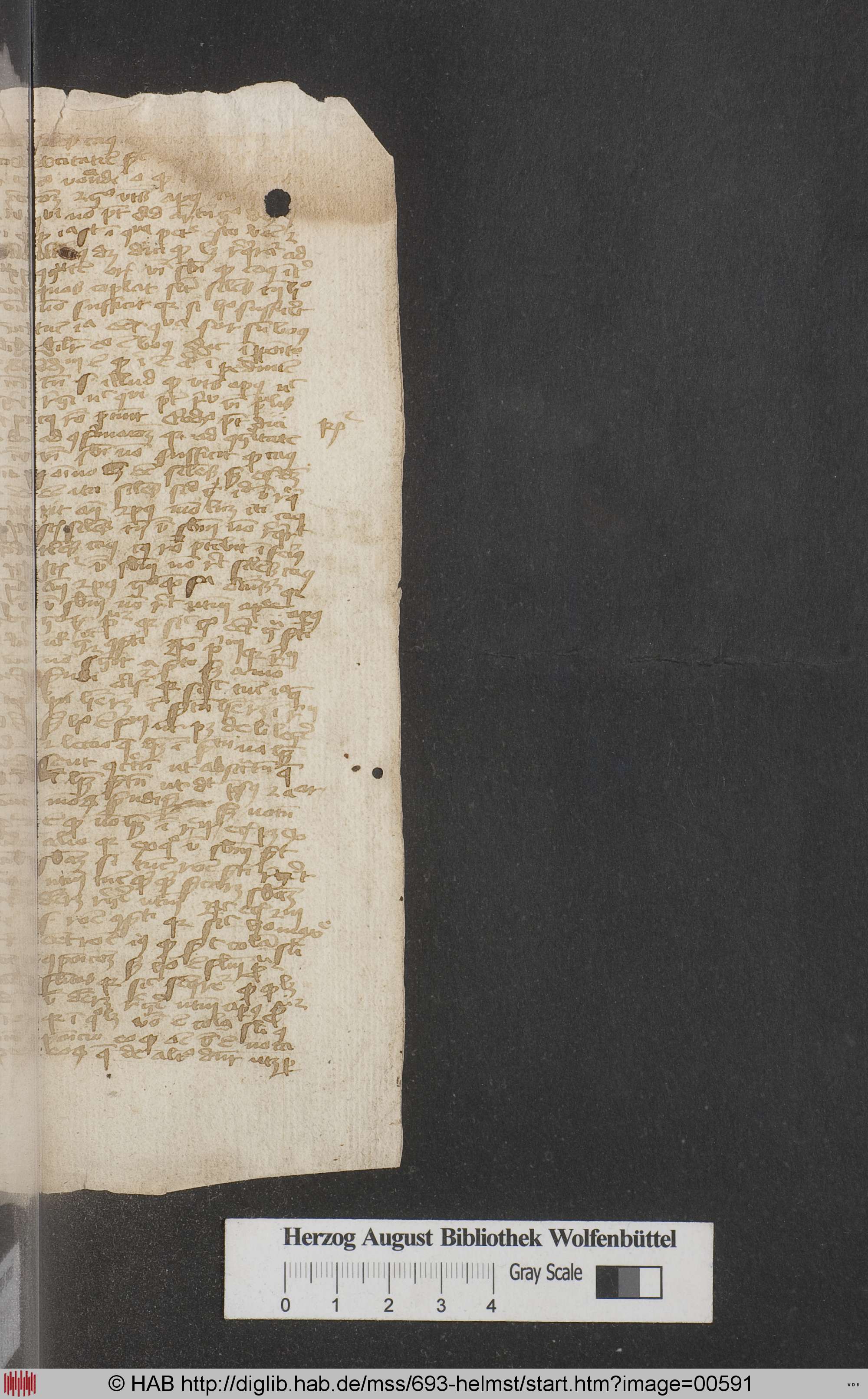 http://diglib.hab.de/mss/693-helmst/max/00591.jpg
