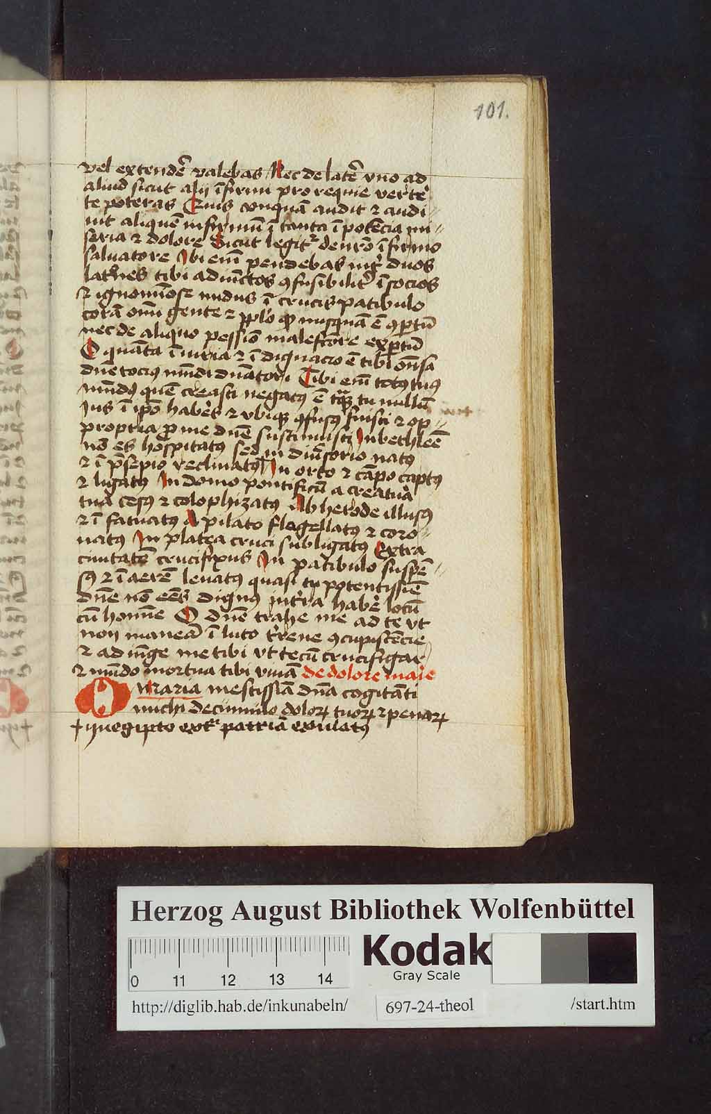 http://diglib.hab.de/mss/697-24-theol/00203.jpg