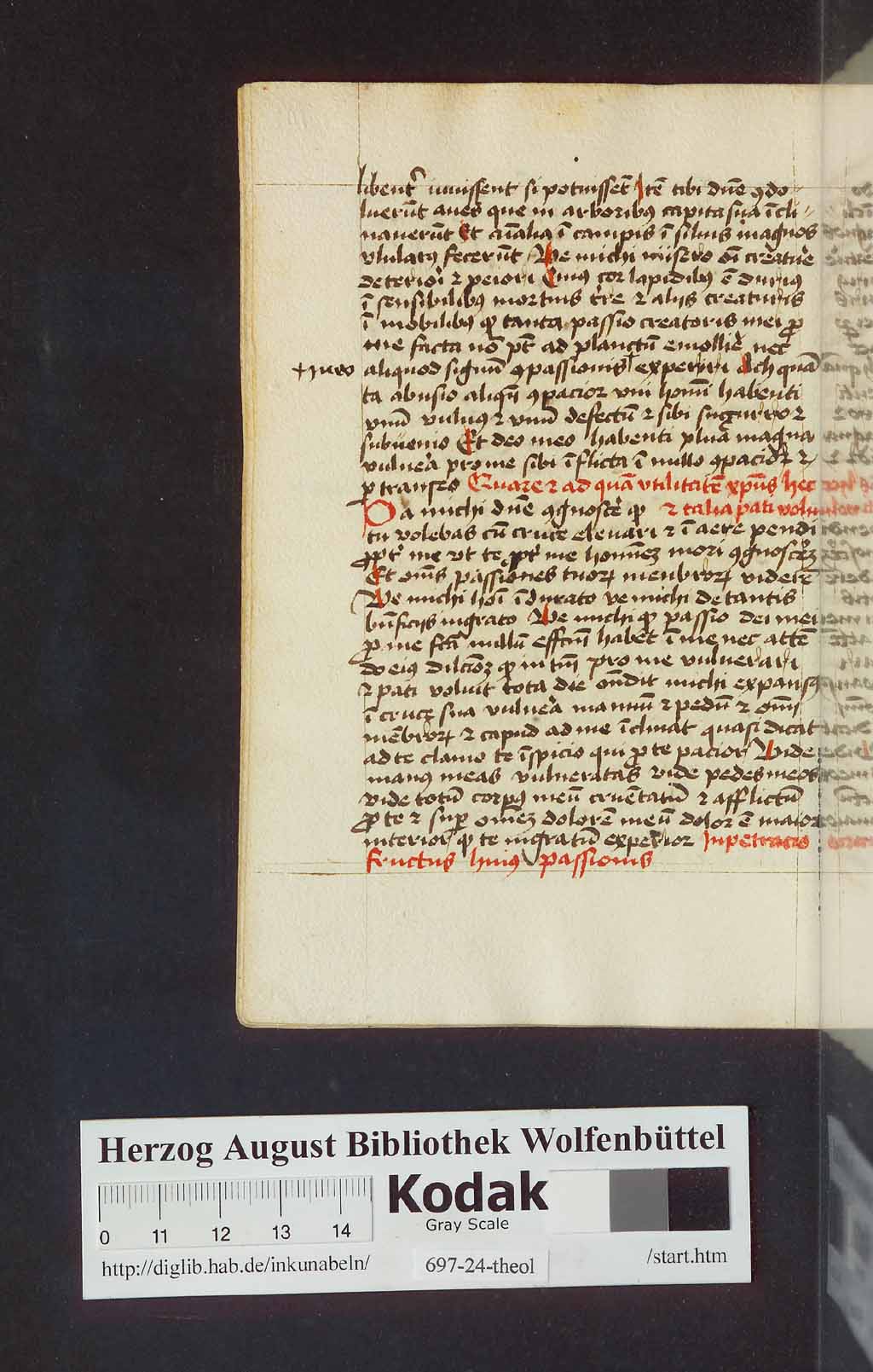 http://diglib.hab.de/mss/697-24-theol/00206.jpg