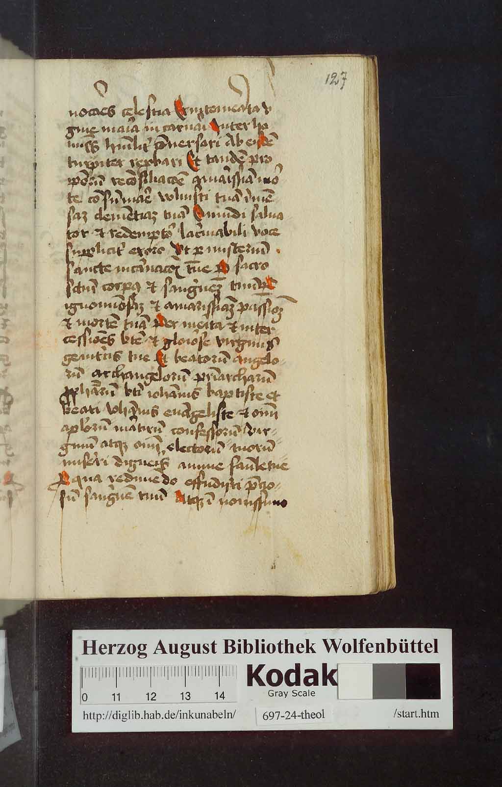 http://diglib.hab.de/mss/697-24-theol/00255.jpg