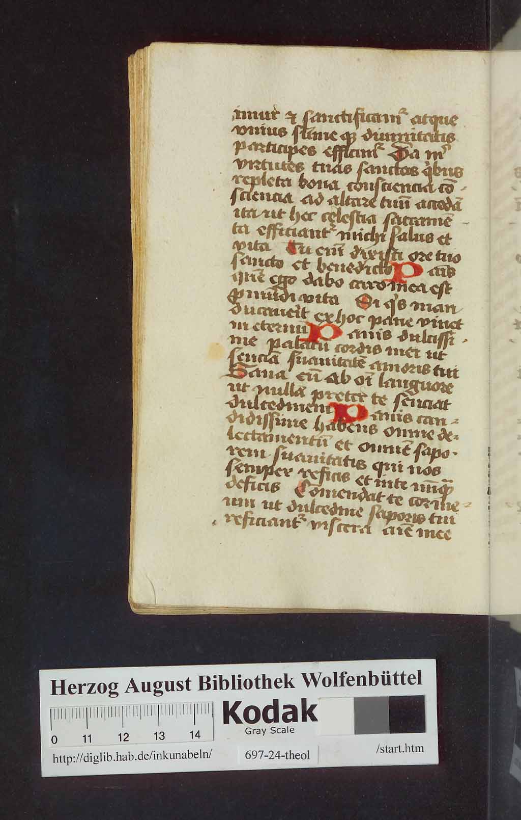 http://diglib.hab.de/mss/697-24-theol/00274.jpg