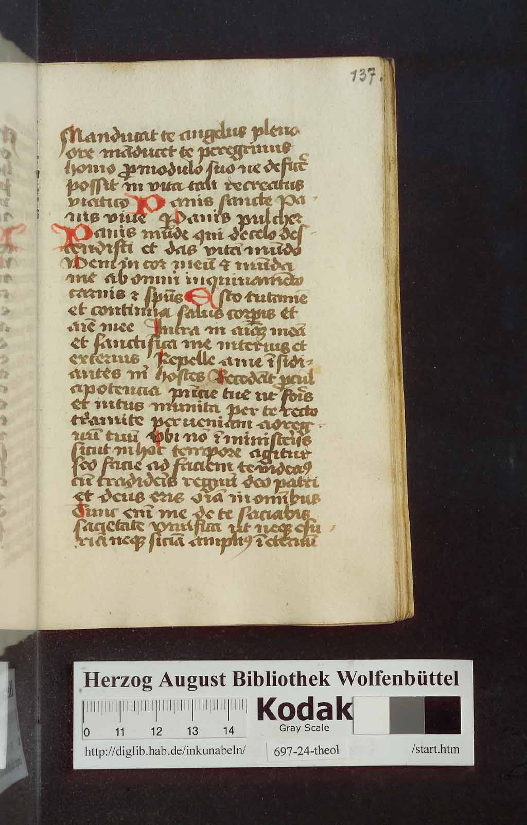 http://diglib.hab.de/mss/697-24-theol/00275.jpg
