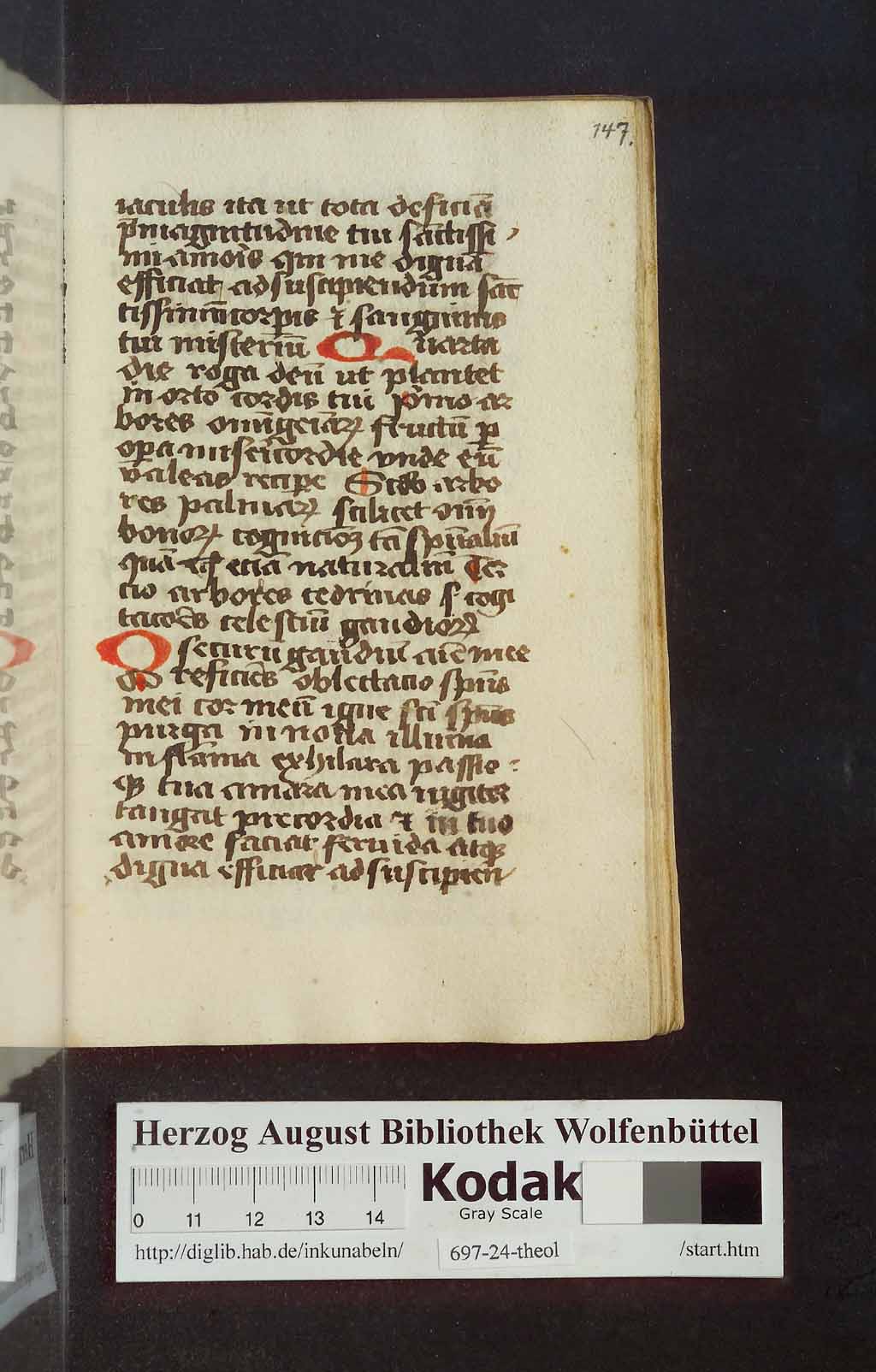 http://diglib.hab.de/mss/697-24-theol/00295.jpg