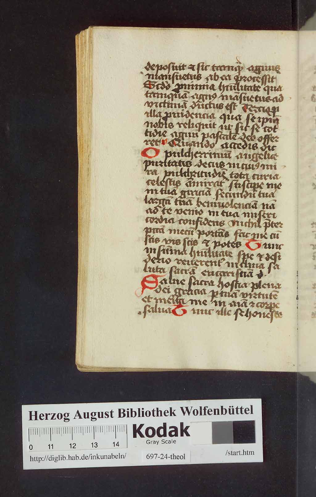 http://diglib.hab.de/mss/697-24-theol/00312.jpg